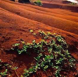 云顶之弈S8.5德莱文阵容搭配，S8.5德莱文阵容装备站位攻略
